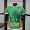 Africa 2026 Cup of Nations Cameroon, Mali, & Ivory Coast Quick-Dry Fan Jersey
