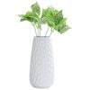 Modern Nordic Ceramic Vase for Hydroponic and Dried Flowers - Chinese Style Home Decor