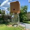 Capcană pentru Albinele de Lemn pentru Exterior Capcană pentru Insecte din Lemn cu Borcan Detașabil Kit Capcană Suspendată pentru Albine pentru Controlul Roiurilor