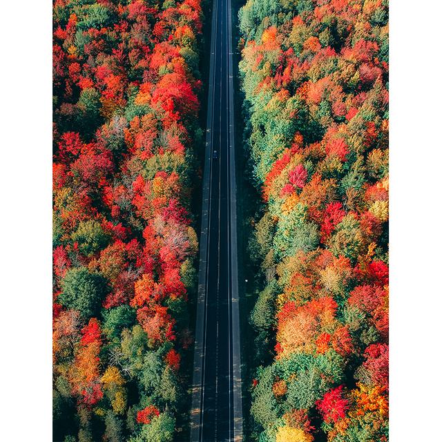 Vertical Board Beautiful Forest Scenery Modern Photo Painting Highway Winding Lines Wall Stickers HD Printing Art Decoration