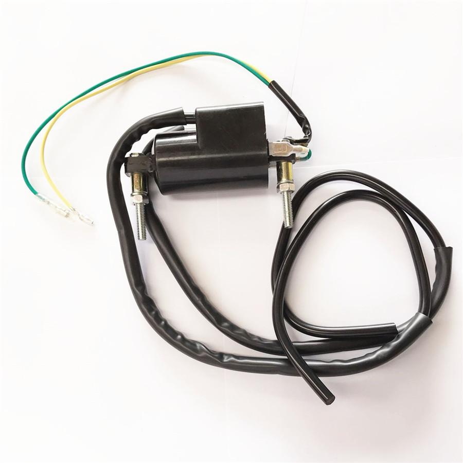 Ignition Coil Dual Wire 12V Fit for Honda Kawasaki Suzuki Yamaha