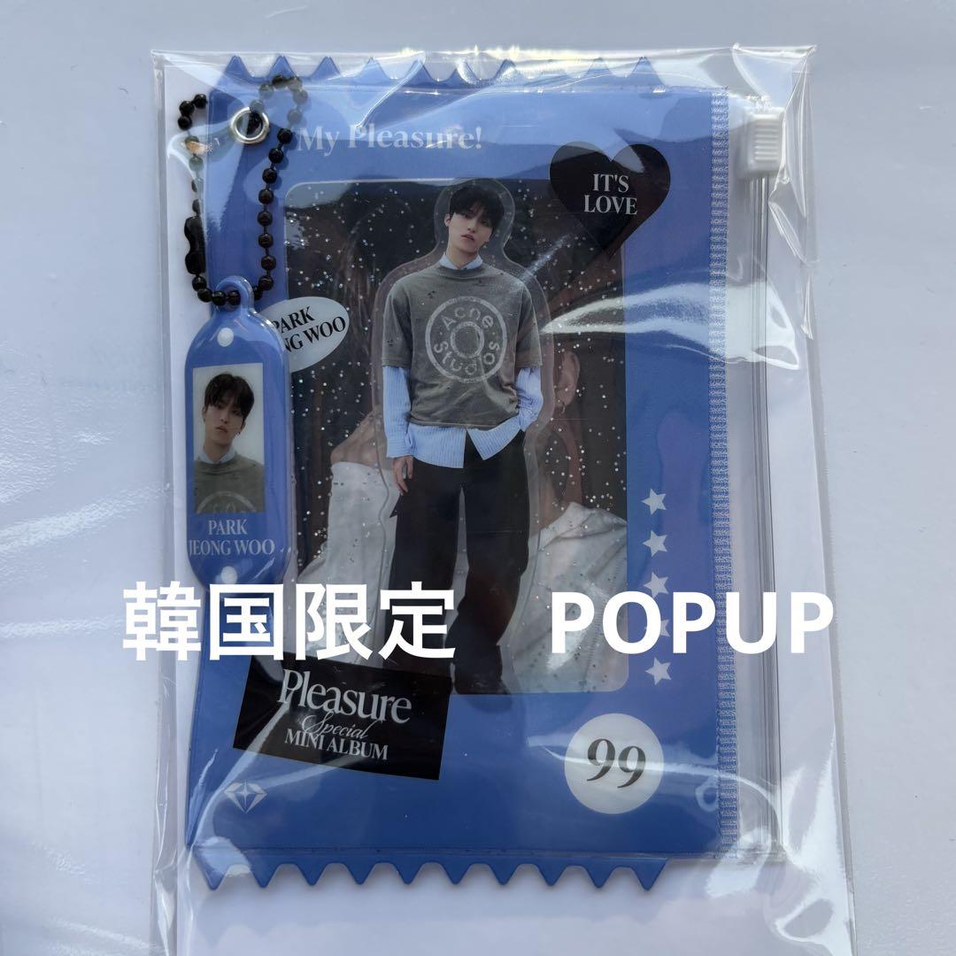 

[USED] TREASURE Jungwoo PLEASURE trading card acrylic stand