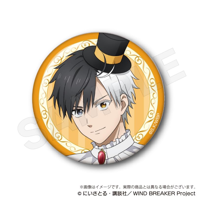 WIND BREAKER Trading Can Badges Magician Box Ver. 5-Piece