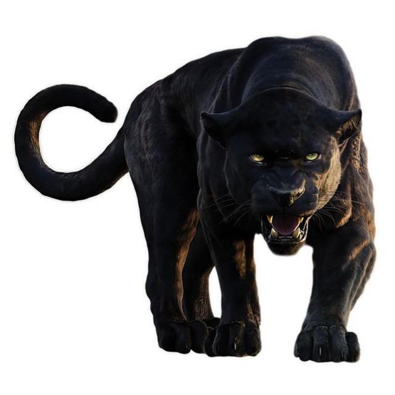 

Наклейка Чорна Пантера На Автомобіль Вінілова Наклейка Водонепроникна Декорація Авто Наклейки J-15cm-Longest Side