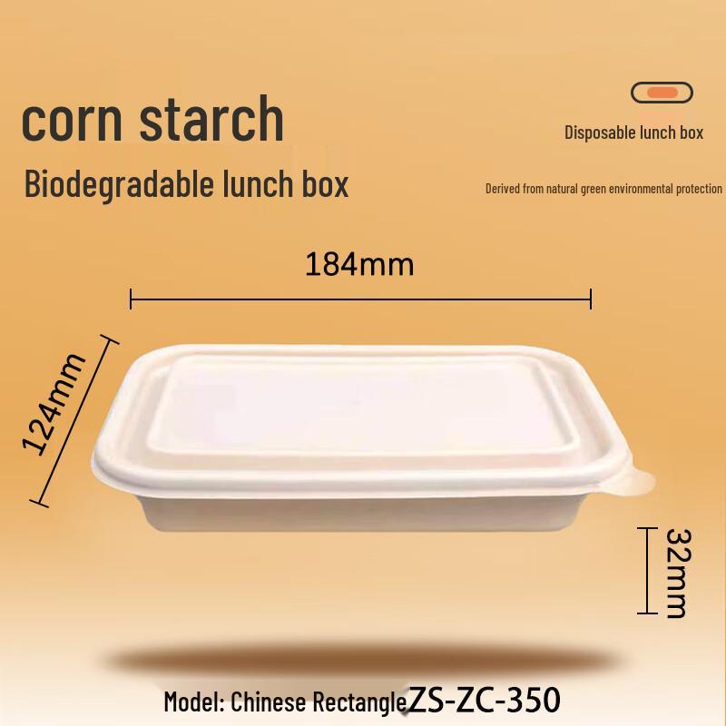 Eco-Friendly Biodegradable Rectangular Takeaway Boxes