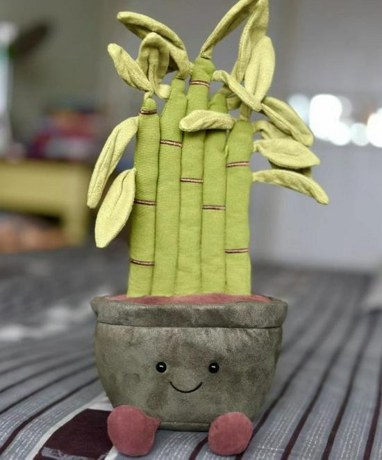 

Ляльки Jellycat Дивакуватий Нарцис і Тюльпан з горщиком конюшини Blue Dust Bag