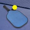 Outdoor Sport Portable PP Pickleball Paddle Racquet with Electroplating Surface