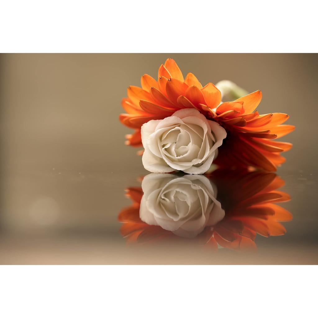 Nikon NIKKOR Z MC 105mm f/2.8 Macro Lens, VR S-Line, Full-Frame Z-Mount Prime Lens