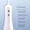 Portable Mini Electric Dental Flusher ABS Five Speed Adjustable Pulse Type Tooth Cleaner with 300ML Large Water Tank