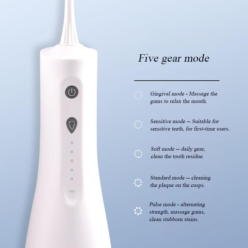 Portable Mini Electric Dental Flusher ABS Five Speed Adjustable Pulse Type Tooth Cleaner with 300ML Large Water Tank