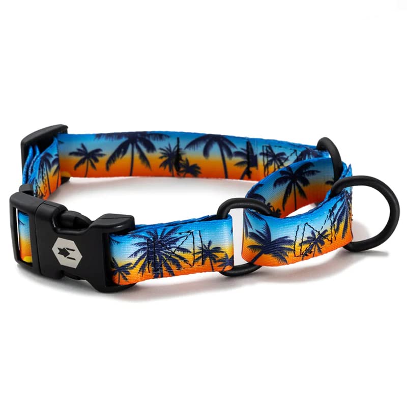 Ошейник-мартингейл WOLFGANG MAN & BEAST SunsetPalms, Большой, Ширина 2,5 см x Обхват шеи 45-55 см [Мартенгаль/Полуудав для крупных собак]