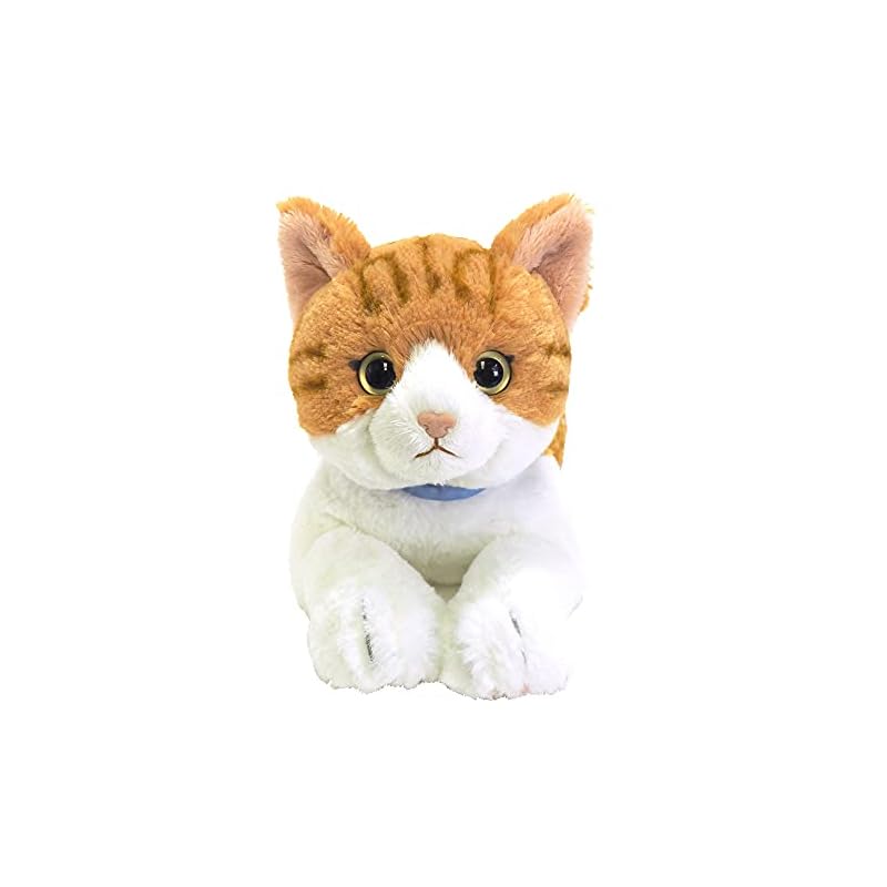 Sun Lemon Lap Cat Chashiro Medium 16 X 47 X 18cm Plush Animal Cute Cat P-7802