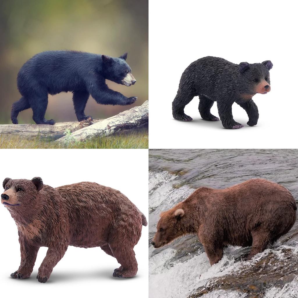 TOYMANY Animal Figurines - Bear Figurines (6-pack) - Bear Family - Forest Animal Set - Realistic Animal Models - Brown Bear, Black Bear - Popular Anim