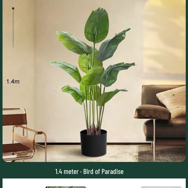 High-End Indoor Bird of Paradise Decor: Luxury Potted Traveler's Palm