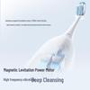 Panasonic Sonic Electric Toothbrush CN plug (adapter included)