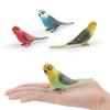 Cross-border Bird Model: Children's Budgerigar & Cockatiel Desktop Decor