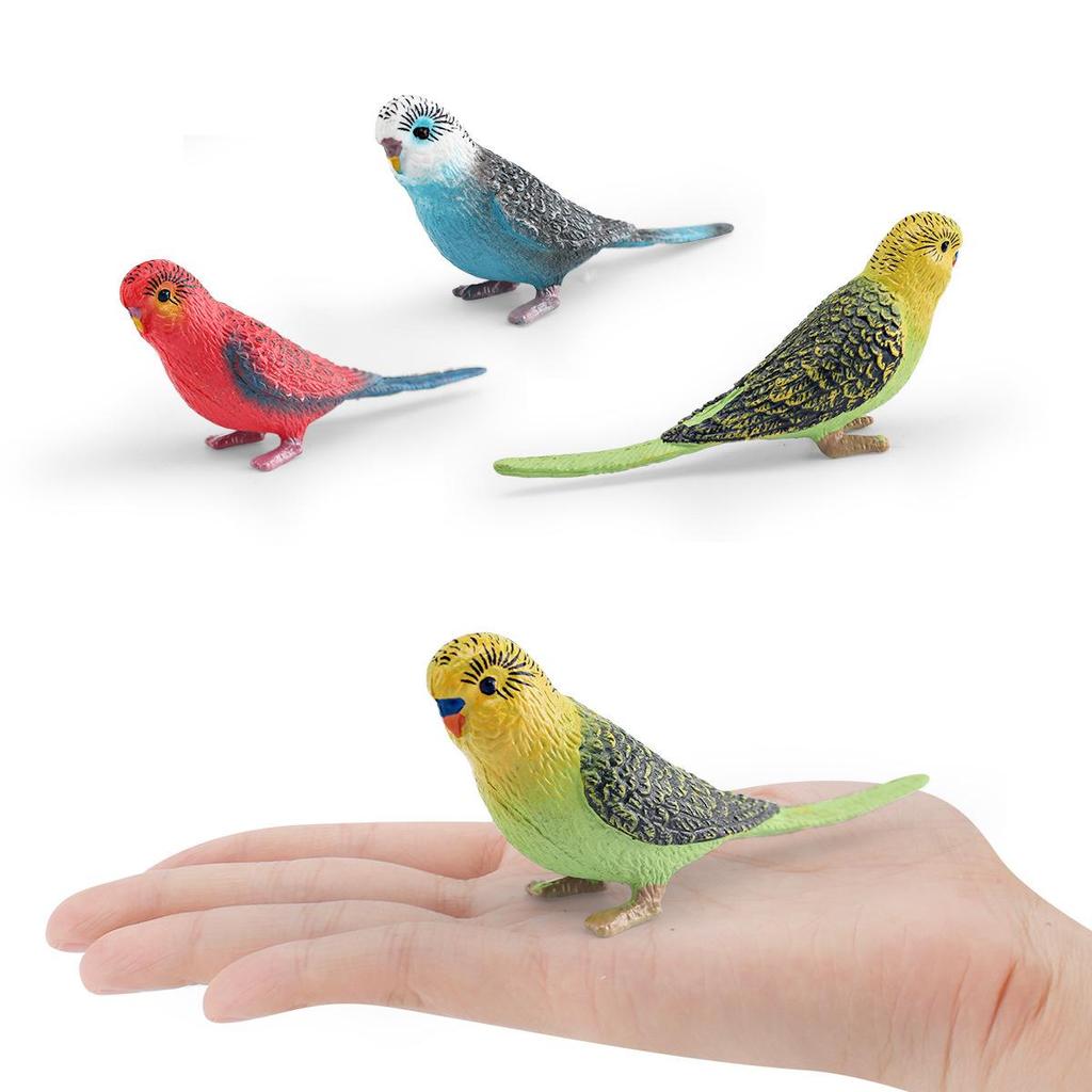 Cross-border Bird Model: Children's Budgerigar & Cockatiel Desktop Decor