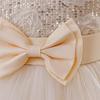 Girls' New Style Double Layer Mesh Lace Bow Party Evening Dress Princess Performance Outfit