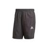 Casual Shorts Men's Japan Version, Gray GT8165-