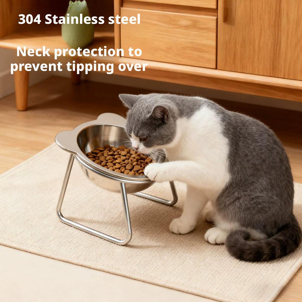 15° Tilted Elevated Cat Dog Bowl, 304 Stainless Steel Pet Food Water Dish with Non-Slip Base Healthy Feeding