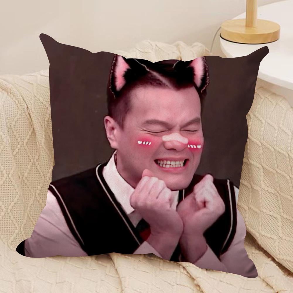 J-JYP Meme Cushion Cover Soft Plush Fabric Double-Sided Printed Sofa Cushion Cover for All Seasons Home Decor Gift