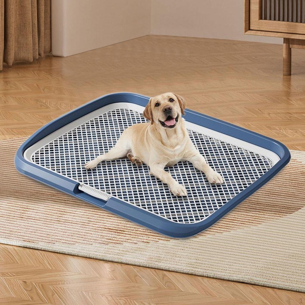 Dog Potty Training Toilet Portable Puppy Pad Holder for Dormitory Home Bunny