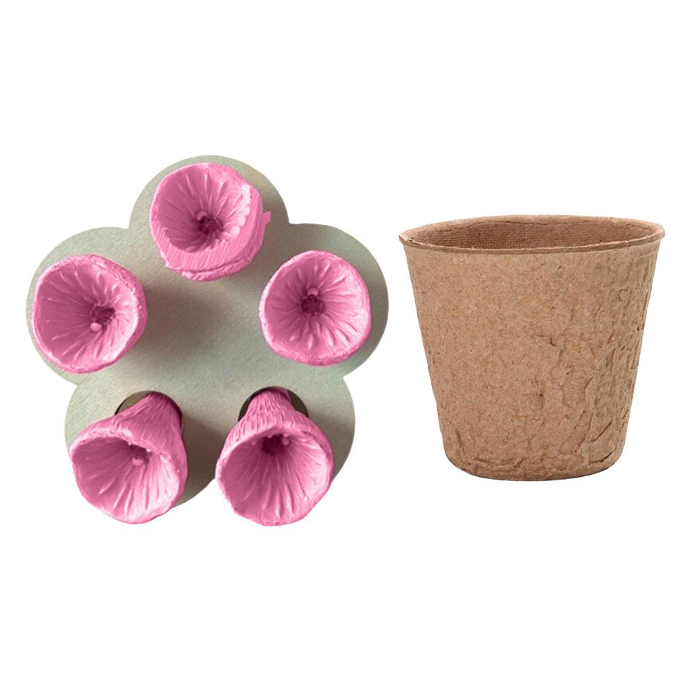 Bees Insect Drinking Cup Bee Drinking Fountain Cup Resin Five Flower Shape Bee Pollinator Water Feeder with Nursery Cup & Holder