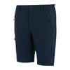 Regatta Mens Prolite Stretch Shorts