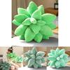 Cozy Plush Succulent Plant Stuff Toys Pillow For Adorable Home Decor And Gifts