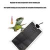 Automatisk Temperaturkontroll Reptilvärmedyna för Ödlor Igelkottar Gekko Små Husdjursboenden Säker Värmeanordning