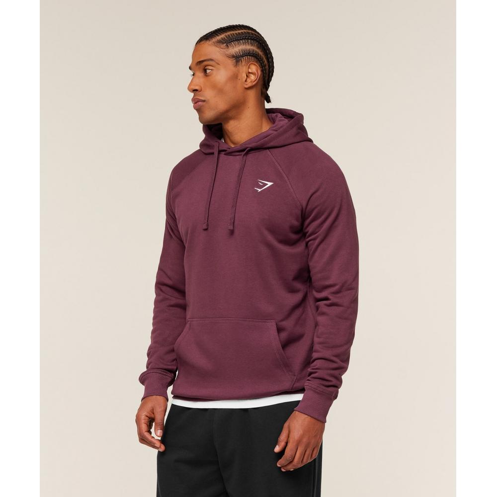 Gymshark Crest Hoodie Gs Impact Burgundy A2a4g Rcf3