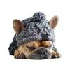 Pet Cat Hat French Fight Pug Big Dog Cat Dog Pet Supplies Autumn and Winter Dog Wool