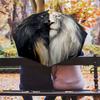 Lion Pattern, Automatic Folding Umbrella, Portable and Foldable Design, 8 Ribs, a Christmas or Birthday Gift.