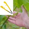 Grape Flower Thinning Clip Clamp Grape Pruning Tool Fruits Seedless Grape Bud Thinning Clip for Farm Garden Plant Hand Pruner