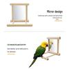 Parrot Mirror with Prickly Ash Wood Perch and Swing Toy