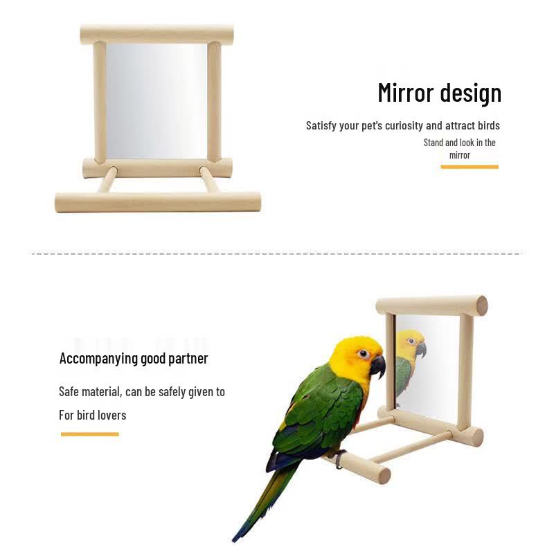 Parrot Mirror with Prickly Ash Wood Perch and Swing Toy