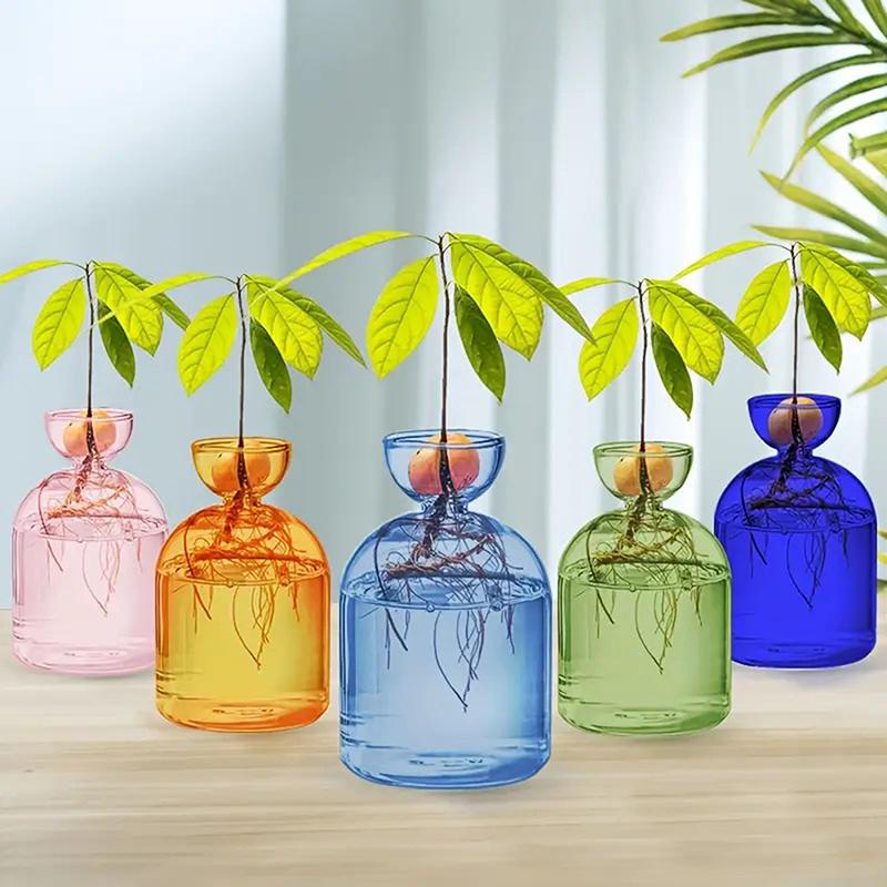 Colorful Transparent Avocado Hydroponic Vase Glass Avocado Seed Starter Vase Plant Seed Growing Kit Gardening Lovers Home Decor