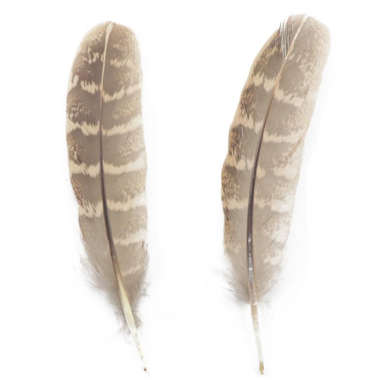 10Pcsdiy Craft Feather Pheasant Hair Mother Chicken Nest Feather Jewelry Accessories Performance Accessories Headgear Hair Accessories Hair