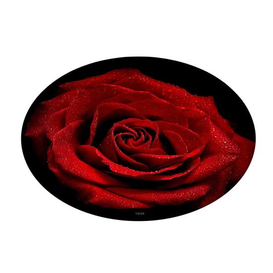 Килимок для підлоги Швидковисихаючий Нековзний З точковим тисненням Зворотний бік 3D Візерунок троянди Килимок для ванної кімнати М'який Вбираючий Килимок для ванної