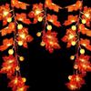 20FT 40LEDs Halloween Fairy String Lights Pumpkin Maple Leaf Shaped Decorative Hanging Lights Warm White Waterproof Battery Operated Lighting
