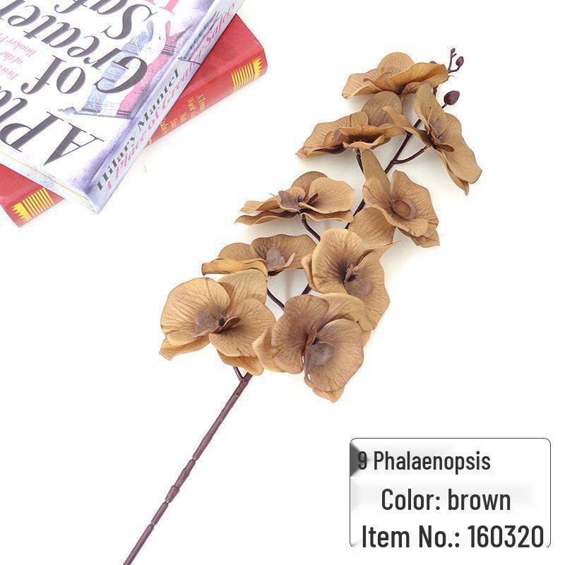 9-Head Phalaenopsis Orchid for Home, Project Landscaping, or Wedding Decoration