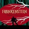 Frankenstein by Mary Shelley Paperback Book 9781785996306
