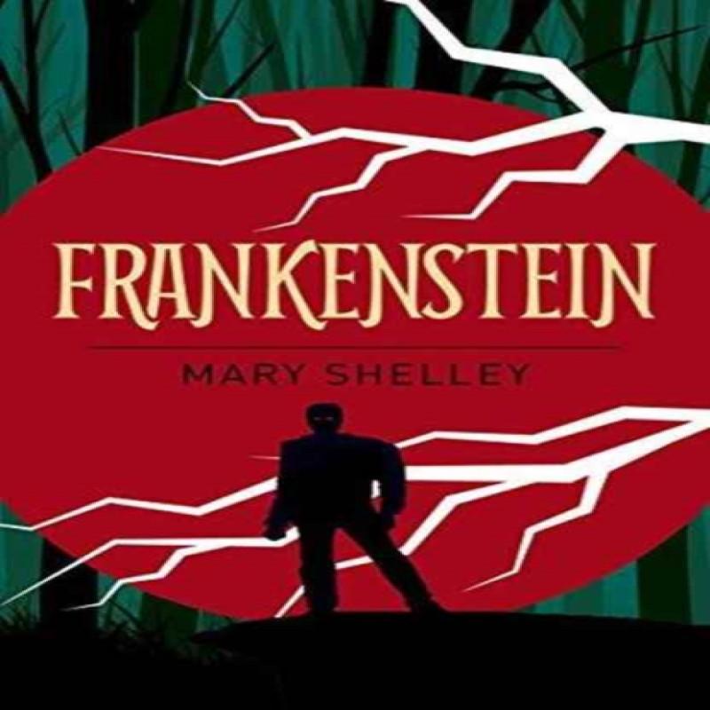 Frankenstein by Mary Shelley Paperback Book 9781785996306