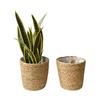 Handwoven Jute Rope Planter Set Indoor Decorative Plant Pot with Plastic Liner for Home Office Garden Use 2 Pack