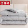 Hengyuanxiang 3D Comfort Winter Quilt