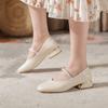 Mary Jane Shoes Women's 2025 Summer Single Shoes French Gentle Flat Sole Medium High Heel Thin Small Leather Shoes Gentle Wind
