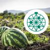 10 stücke Wassermelone Halter Unterstützung Stehen Leichte Korrosion-beständig Garten Pflanzen Werkzeuge Für Melonen Gemüse Obst