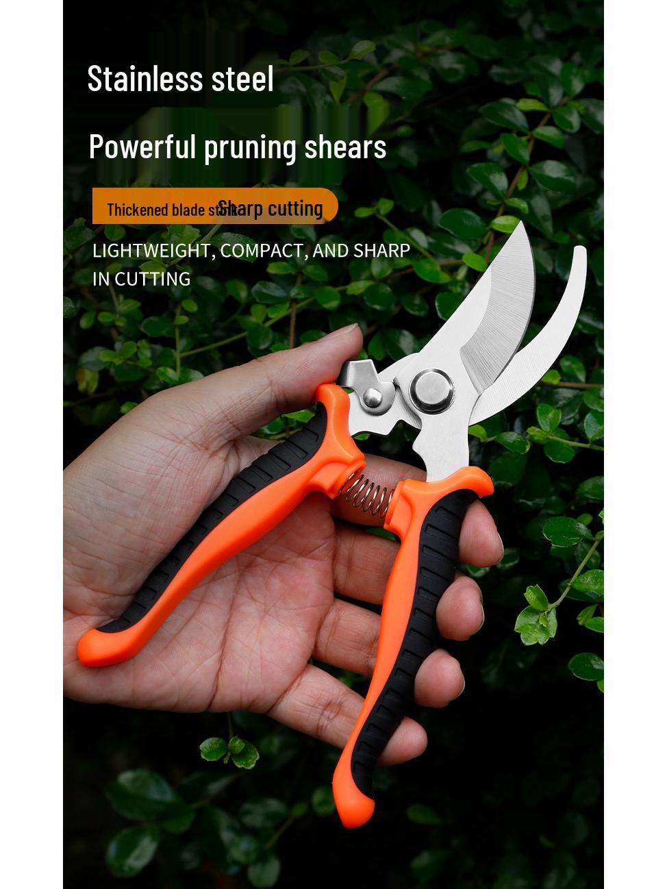 Stainless Steel Multifunctional Pruning Shears for Fruit Picking, Flowers, and Grafting.