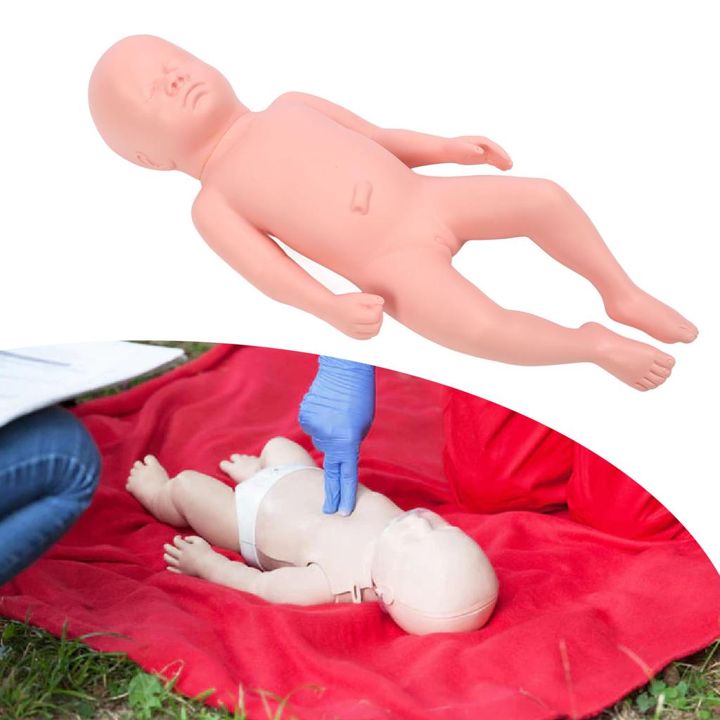 Newborn Model Plastic Educational High Simulation Full Term Baby Simulator Model For Teaching