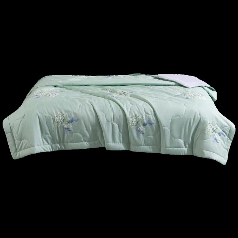 

Mercury Home Textiles Floral Summer Quilt